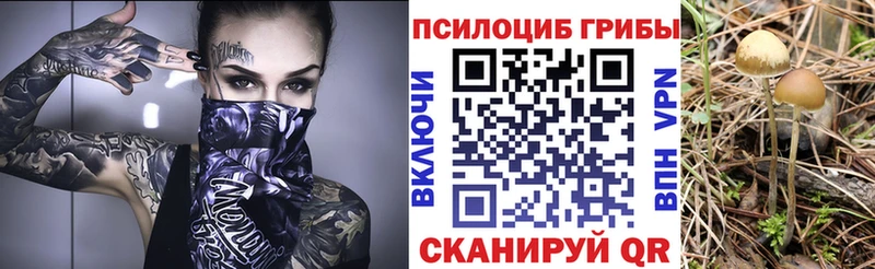 Псилоцибиновые грибы GOLDEN TEACHER  Иланский 